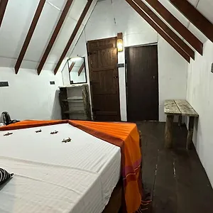https://venus-paradise-sigiriya.kandyhotelsnow.com